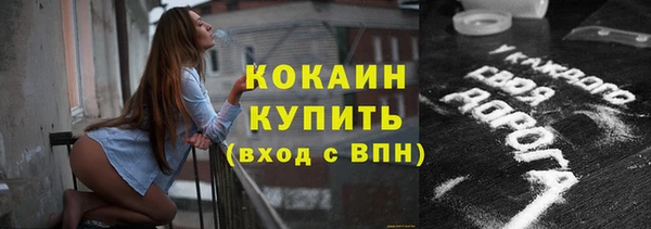 кокс Гусь-Хрустальный