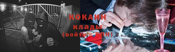 кокс Гусь-Хрустальный