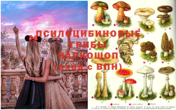 ALPHA-PVP Гусев